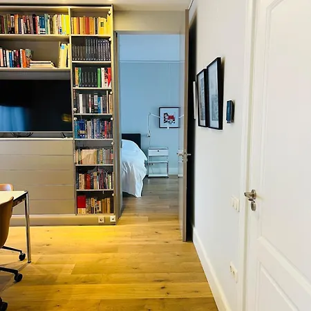 Exclusive * 马斯特里赫特